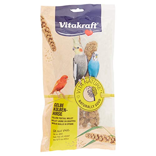 Vitakraft - Vita Nature para Pájaros, Espigas de Mijo Amarillo Natural - Bolsa de 100 g