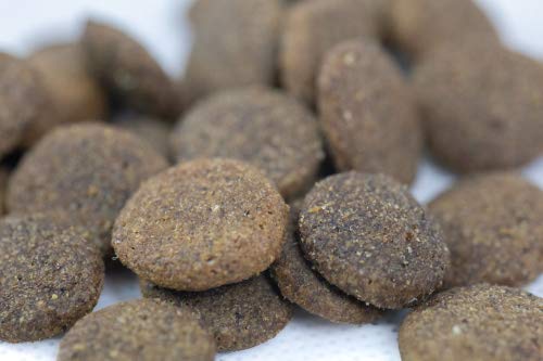 Wildfang alimento seco para Perros 2 kg I Alimento Libre de Cereales - Cordero con Batata y Menta I Alimento seco para Perros Adultos I alimento seco 100% Natural SIN aditivos Artificiales