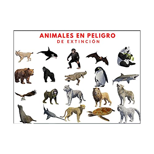 20 Figuras de Animales en Peligro de extinción de plástico Pintados a Mano. Colección 20 Juegos de Animales . Incluye ficha técnica con Las características de Cada Animal