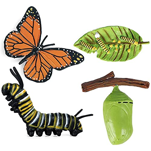 20 Piezas Modelo De Ciclo De Crecimiento De Insectos, Ciclo De Vida Animal De La Mariposa Monarca, Ciclo De Crecimiento De La Mariposa, Abeja, Araña, Caracol, Educación Para Niños