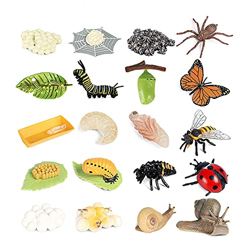 20 Piezas Modelo De Ciclo De Crecimiento De Insectos, Ciclo De Vida Animal De La Mariposa Monarca, Ciclo De Crecimiento De La Mariposa, Abeja, Araña, Caracol, Educación Para Niños