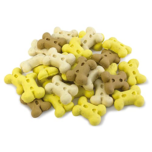 Arquivet Biscuits - Galletas para perros - Snacks para perros - Mini huesos de vainilla - Premios, chuches y golosinas - Alimento complementario perros - 2,5 kg