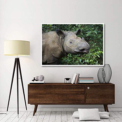 Artworks Italia Sumatran Rhinoceros, Santuario de Rinoceronte Sumatran, Parque Nacional de Camino Kambas, Arte de Papel de Indonesia, 62 x 42 Pulgadas