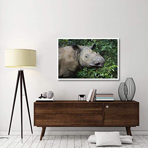 Artworks Italia Sumatran Rhinoceros, Santuario de Rinoceronte Sumatran, Parque Nacional de Camino Kambas, Indonesia-Paper Art 50"x86"