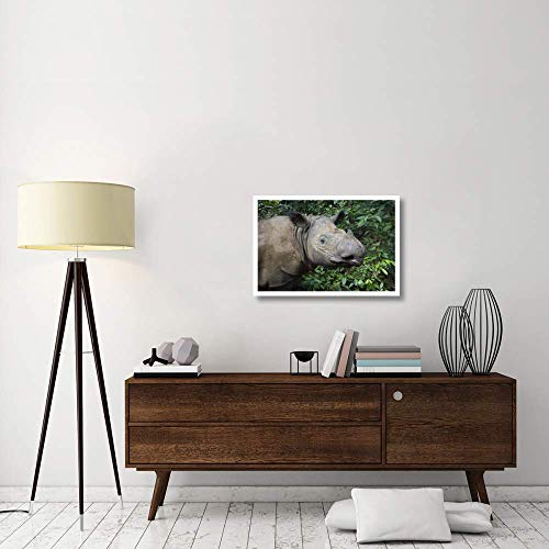 Artworks Italia Sumatran Rhinoceros, Santuario de Rinoceronte Sumatran, Parque Nacional de Camino Kambas, Indonesia-Paper Art 81,28 cm x 55,88 cm