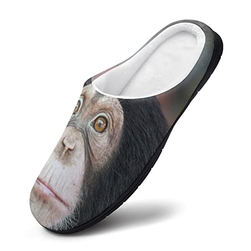 BAIKUTOUAN Zapatillas de algodón con cara de chimpancé para hombre, cómodas, cálidas, con puntera cerrada, suela de goma antideslizante, zapatos para el hogar 7-8 (40-41)