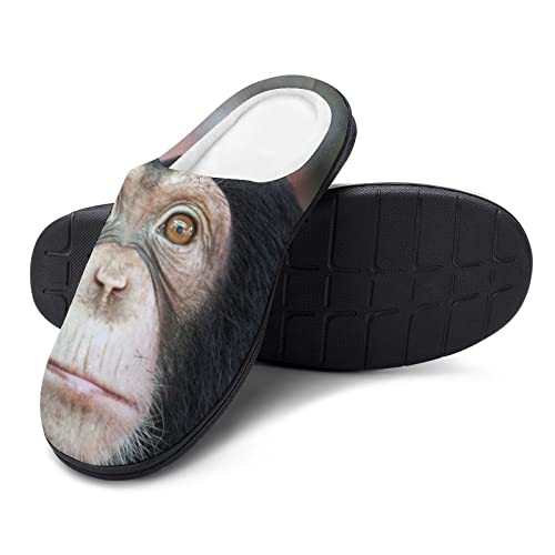 BAIKUTOUAN Zapatillas de algodón con cara de chimpancé para hombre, cómodas, cálidas, con puntera cerrada, suela de goma antideslizante, zapatos para el hogar 7-8 (40-41)