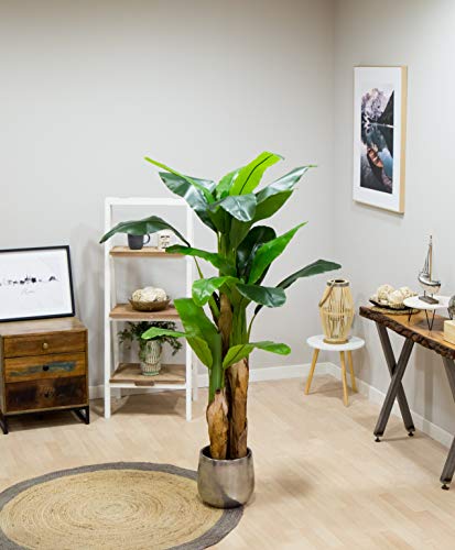 Bananera Artificial, Elaborados con los Mejores Materiales, Ideal para Decoración de hogar, Planta, Árbol Artificial (180 cm)