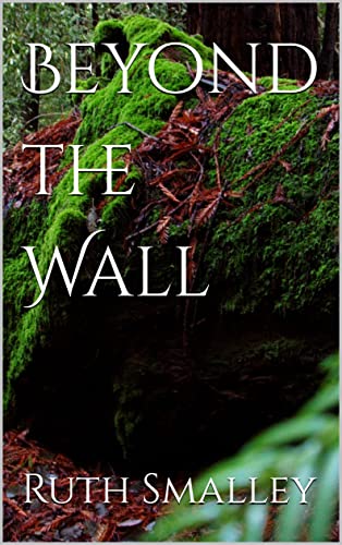 Beyond the Wall (English Edition)