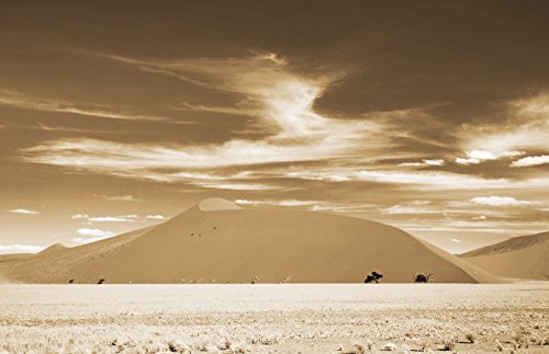 Bilderdepot24 Autoadhesivo Fotomural Desierto - Namibia - Sepia 310x200 cm - Directamente Desde el Fabricante