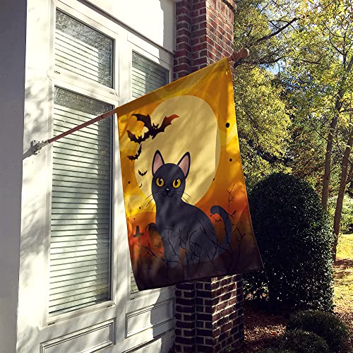 Caroline tesoros bb4442chf de lona casa tamaño Halloween gato Bombay bandera, Multicolor, Large