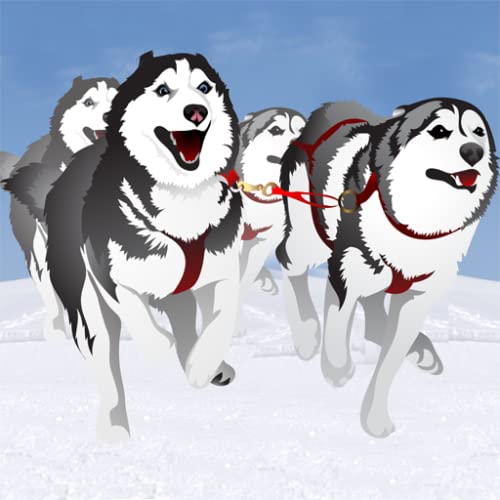 carrera de trineos tirados por perros en invierno: el perro de trineo de hielo frío en el Polo Norte - edición gratuita