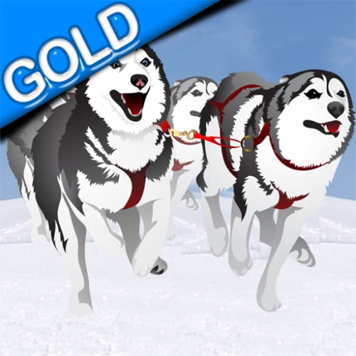 carrera de trineos tirados por perros en invierno: el perro de trineo de hielo frío en el polo norte - gold edition