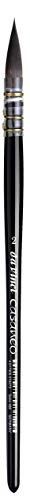 DA VINCI Cepillo de Lavado de la Serie 498, Fibra sintética, Negro, 19 x 0.70 x 30 cm