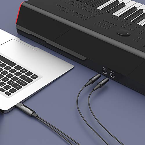 DigitalLife BM1003 Interfaz MIDI a USB para MIDI Instrument - Metal, Win & Mac