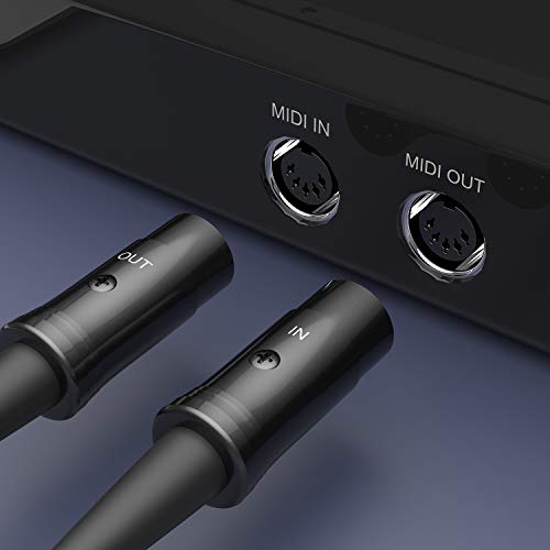DigitalLife BM1003 Interfaz MIDI a USB para MIDI Instrument - Metal, Win & Mac