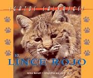 El Lince Rojo/the Bobcat (Gatos Salvajes/Wild Cats)