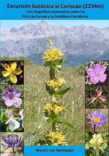 Excursión botánica al Coriscao (2234m): Con magníficos panoramas sobre los Picos de Europa y la Cordillera Cantábrica (Flores silvestres del norte de España)
