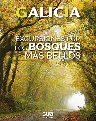 Excursiones por los bosques mas bellos: 3 (Galicia)