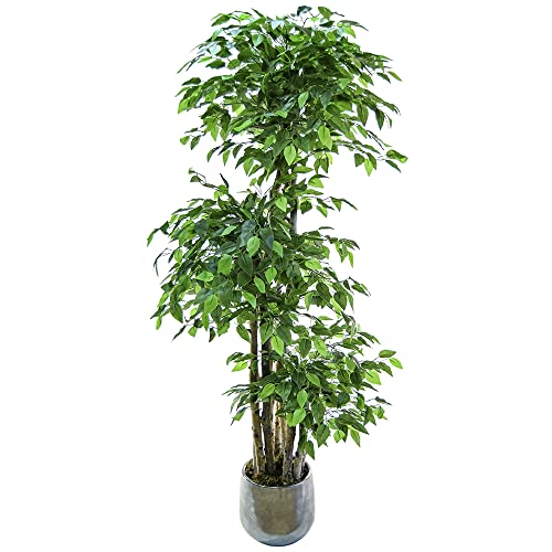 Ficus Artificial de 2 y 3 Copas con Troncos Naturales, Elaborados con los Mejores Materiales, Ideal para Decoración de Hogar, Planta, Árbol Artificial (175cm, 3 Copas)