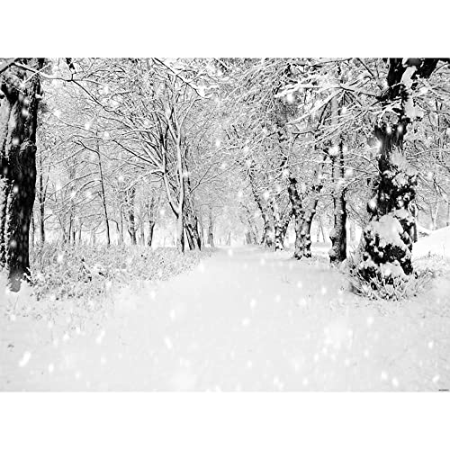 Fondos de fotografía Personalizados de Vinilo Prop Escena de Nieve Fotografía de Fondo de Tela Accesorios de Estudio de fotografía Accesorios de Tiro A22 10x7ft / 3x2.2m