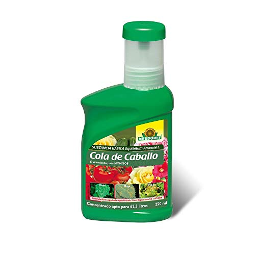 Fungicida Natural Sustancia Básica Cola de Caballo, Equisetum Arvense L, Tratamiento de Hongos Oidio y Mildu, 250 ml (Concentrado para 62,5 Litros).