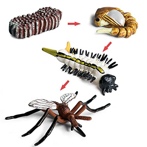 Garneck Ciclo de Vida de Mosquito Animal Ciclo de Vida Kit de Ciclo de Crecimiento de Insectos Figuras Modelo Stem Ciencia Biología Crecimiento Juguetes de Aprendizaje para Niños Pequeños