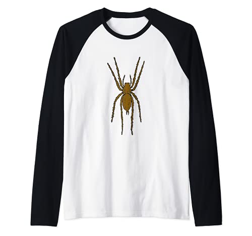 Gran araña marrón Camiseta Manga Raglan