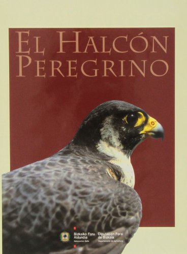 HALCON PEREGRINO