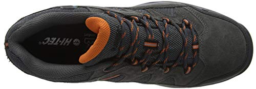 Hi-Tec Banderra II Low WP, Zapatillas de Senderismo Hombre, Gris (Charcoal/Graphite/Burnt Orange 51), 42 EU