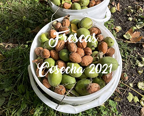 HOGAR Y MAS - Nueces de España Naturales con cascara Frescas, Cosecha del 2021"Limitada, Bolsa de 3 kg.