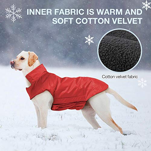 IREENUO Chaqueta 100% Impermeable para Mascotas Perros Abrigos de Invierno cálido Rojo-L