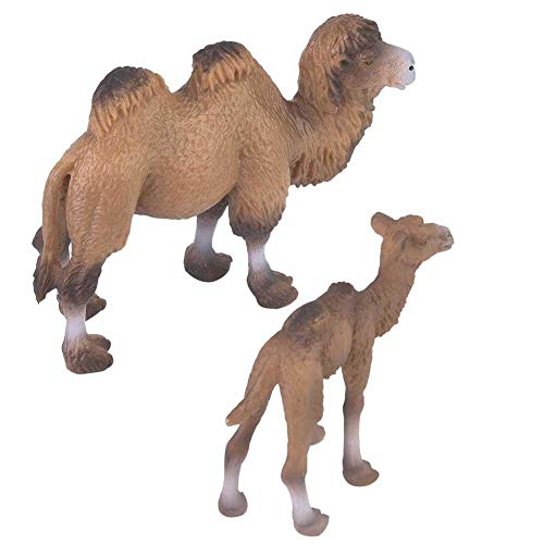 Juguete de modelo animal, 2 piezas de safari salvaje en miniatura Mundo silvestre Figuras de animales Decoración de escritorio Modelo de camello bactriano Regalos de decoración para el hogar para niño