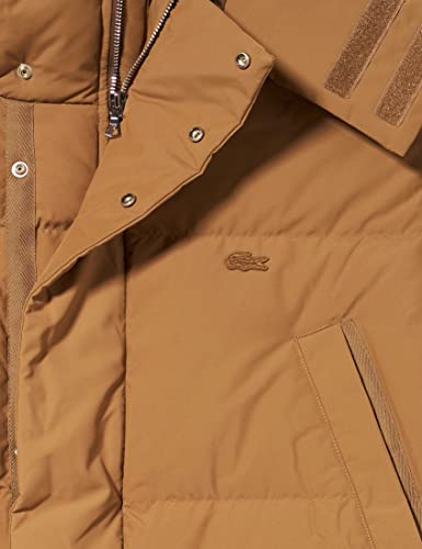 Lacoste BH1960 Jacket, Leafy, XL para Hombre