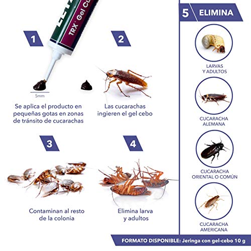 LETAL Gel Insecticida Cucarachas - Cebo Mata Cucarachas para Uso Doméstico de Zotal, Pack de 20 g en Total - Elimina Todo Tipo de Cucarachas - Efecto Duradero en el Control de Larvas y Adultos