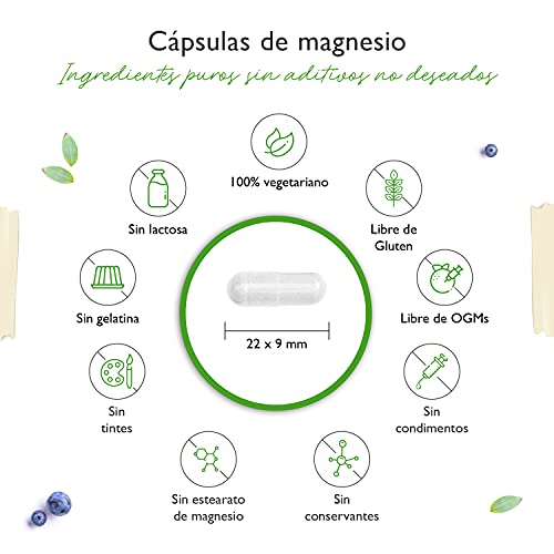 Magnesio - 365 cápsulas (12 meses) - 665 mg por cápsula, de los cuales 400 mg de magnesio elemental - Altamente dosificado - Sin aditivos indeseables - Vegano