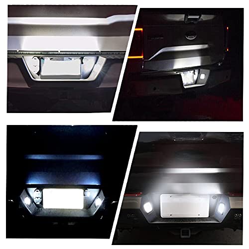 Maimiao 2 Piezas LED matrícula luces lámparas bombillas 3528 SMD 12V 6500K Xenón Blanco CanBus No hay error, Para 2015-2018 Ford 150 Raptor
