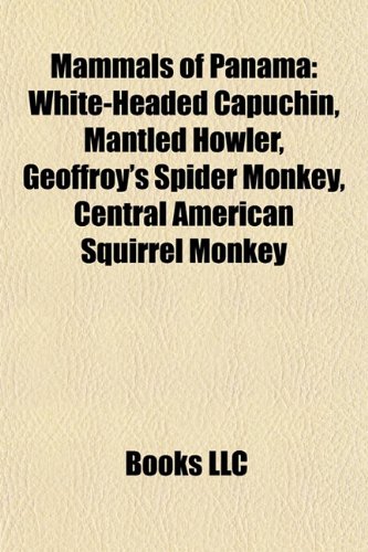 Mammals of Panama: White-headed capuchin, Transandinomys bolivaris, List of mammals of Panama, Mantled howler, Geoffroy's spider monkey