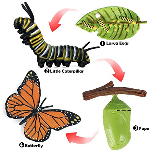 Milageto Plástico de Insectos de Crecimiento de la Etapa de Vida de Mariposa Realista Ciclo de Vida Juego Conjunto para la educación de los niños Tema de