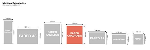 Miquelrius - Calendario de pared 2022 Basic - tamaño 300 x 300 mm - con espacio para anotar - Gris