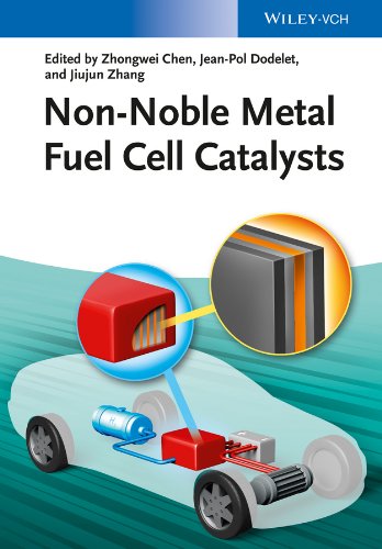Non-Noble Metal Fuel Cell Catalysts (English Edition)