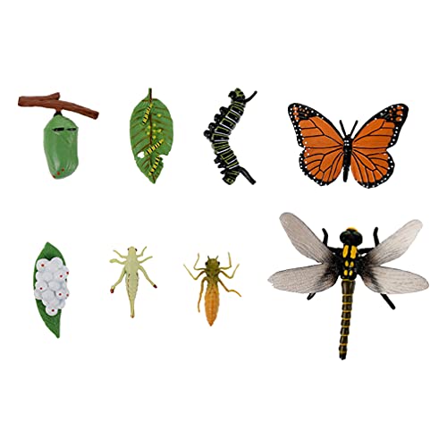 NUOBESTY Figuras de Insectos Ciclo de Vida de Mariposa Y Libélula Etapa de Crecimiento Mariposa Libélula Modelo de Ciclo de Vida para El Aprendizaje Y La Enseñanza