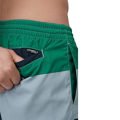 O'Neill Pm Horizon Shorts, Bañador para Hombre, Verde (6900 Green AOP), L