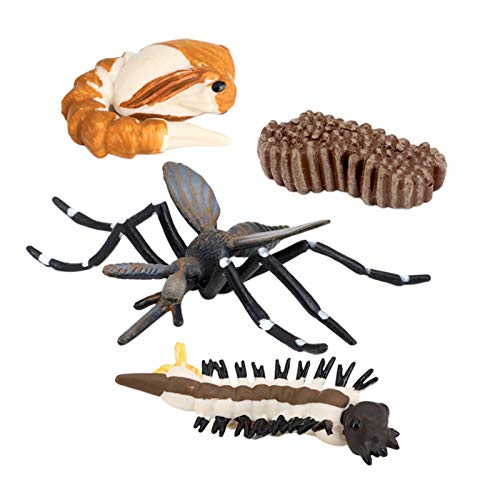 perfeclan s de Ciclo de Vida de 4 Piezas, de Juguete de plástico de Mosquitos de Insectos-auténtico Modelo Pintado a Mano