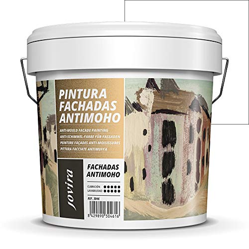 Pintura Fachadas Antimoho. Repelente al agua, impermeable y anti fisuras. (5 Kilos, blanco)
