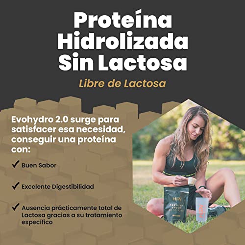 Proteína Sin Lactosa de HSN Evohydro 2.0 | Sabor Chocolate Galletas 500 g = 17 Tomas por Envase | Aislado de Proteína Hidrolizada de Suero Lácteo | Hydro Whey | No-GMO, Vegetariana, Sin Gluten