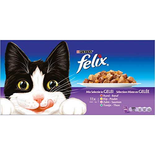Purina Felix Fantastic comida para gato surtido variado Pack 44 x 100 g