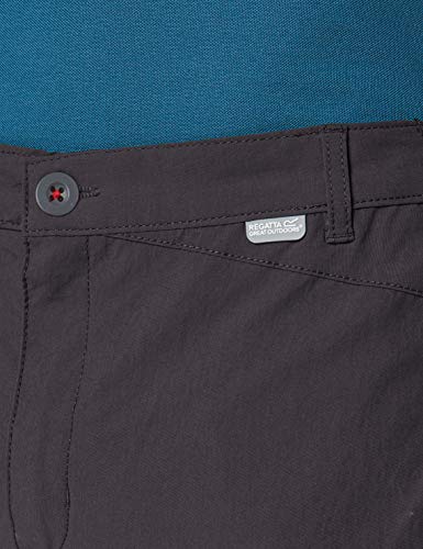 Regatta Highton - Pantalones Cortos de Senderismo para Hombre, Repelente al Agua, protección UV, Hombre, Pantalones Cortos, RMJ224, Gris, 32 Pulgadas