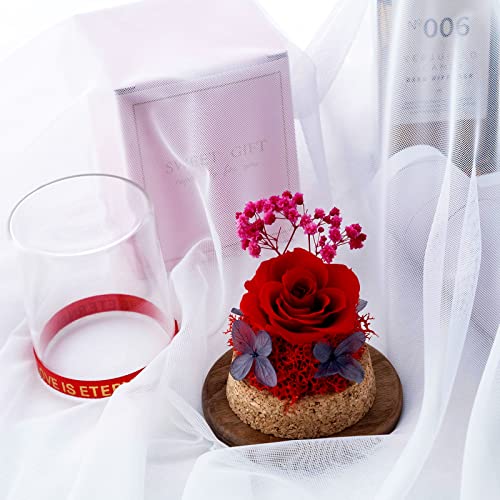 Rosas preservadas, Rosa Real para Siempre en Botella de Vidrio cilíndrica, Regalos románticos para el día de San Valentín, Regalos de cumpleaños de Acción de Gracias para Mujeres, Rojo