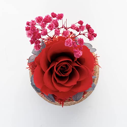 Rosas preservadas, Rosa Real para Siempre en Botella de Vidrio cilíndrica, Regalos románticos para el día de San Valentín, Regalos de cumpleaños de Acción de Gracias para Mujeres, Rojo